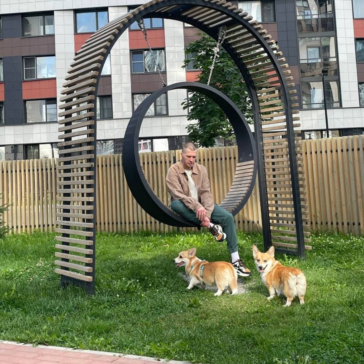 Network member avatar