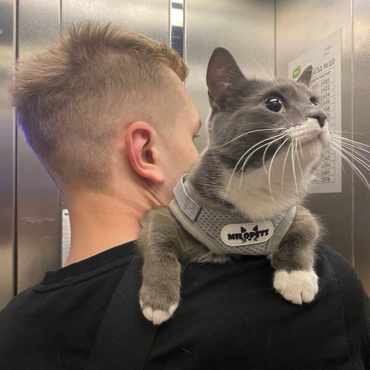 Николай Нечаев | Сетка — социальная сеть от hh.ru