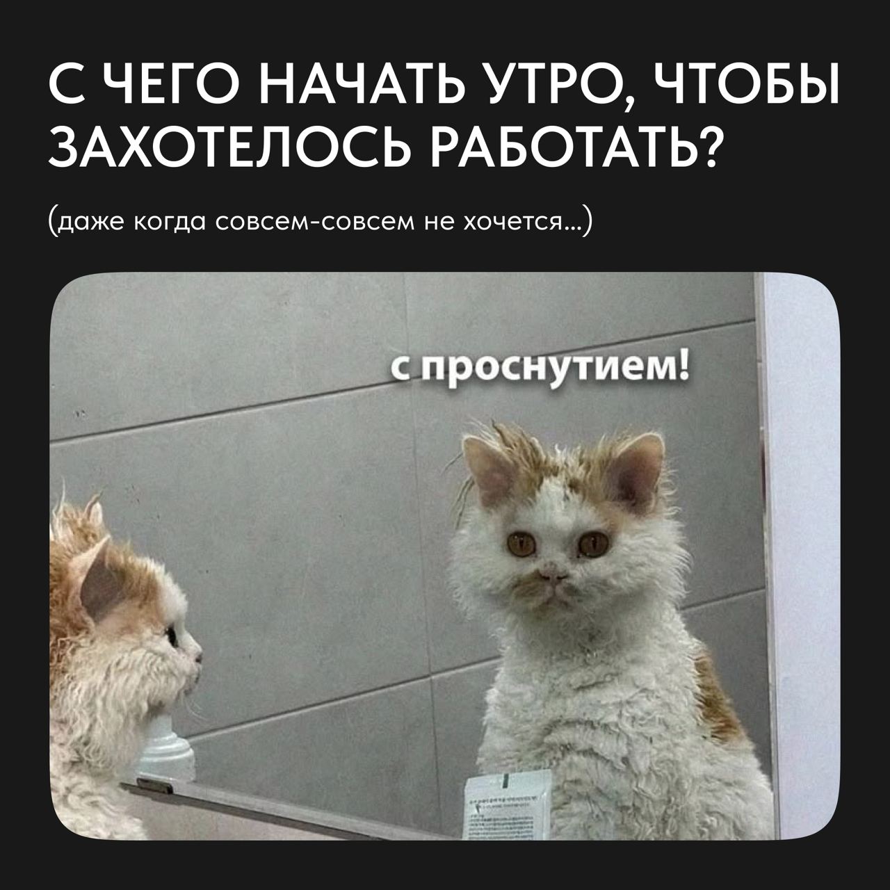 🕺Как начать утро, чтобы сил хватило на весь день? Вдох глубокий, руки шире | Сетка — социальная сеть от hh.ru