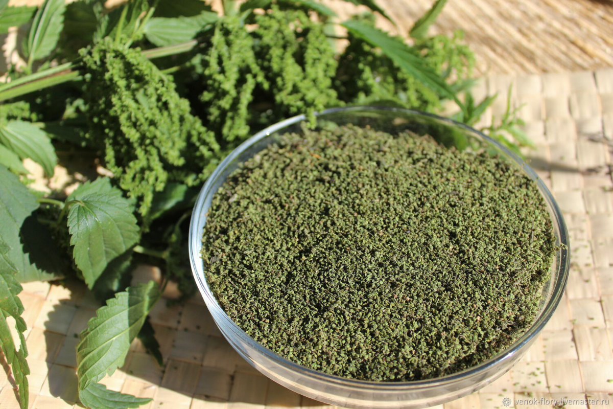 🌺🌺🌺🌺🌺🌺🌺🌺🌿🌿🌿🌿🌿🌿🌿🌿🌿🌿🌿🌿🌿🌿🌺🌺🌺🌺🌺🌺
👋ПРИВЕТСТВУЮ Вас, МОИ ДОРОГИЕ ПОДПИСЧИКИ! LadyMari ШЛЁТ Вам ЛУЧИ ЛЮБВИ И НЕЖНОСТИ! ♥️😘
🌸🌸🌸
🎀СЕГОДНЯ Я ПОВЕДАЮ Вам ОБ УДИВИТЕЛЬНОМ ДАРЕ ПРИРОДЫ – СЕМЕНАХ КРАПИВЫ… 🌿
🌸🌸🌸
Да-... | Сетка — социальная сеть от hh.ru