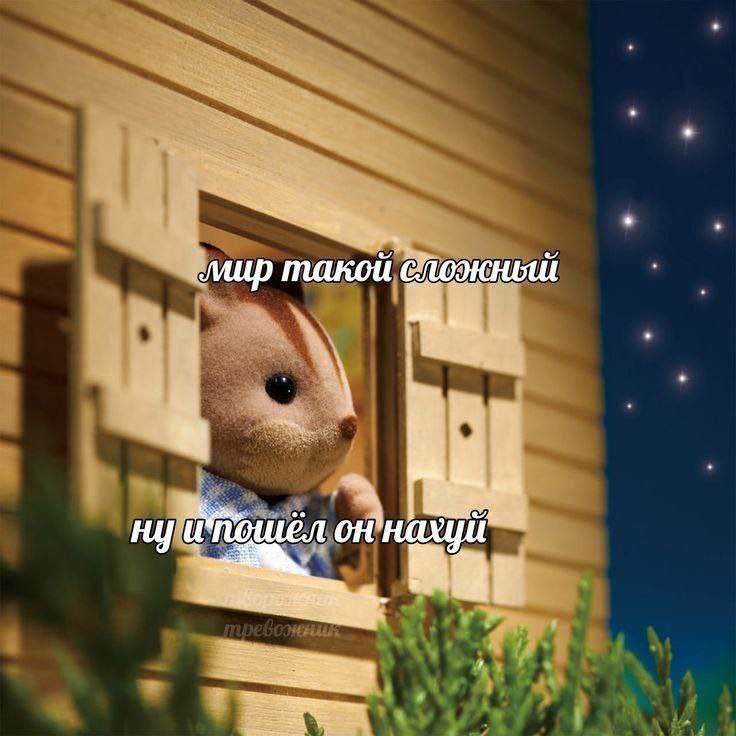 Твиттерский собрал подборку умиротворяющих животных, в которых каждый уставший работяга узнает себя.
Проверяем, кто вы сегодня. | Сетка — социальная сеть от hh.ru