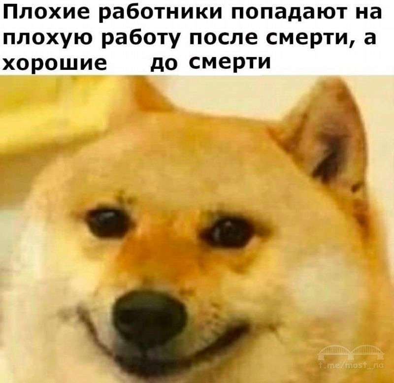 Есть у рекрутеров один тихий профессиональный кошмар | Сетка — социальная сеть от hh.ru