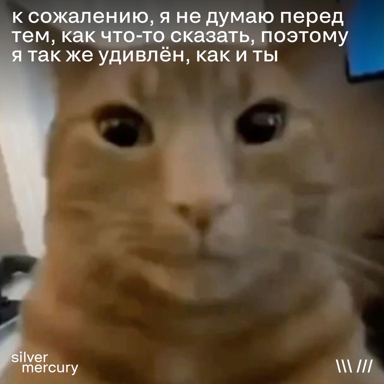 В сеть слили фотку редактора канала, который никогда не знает, какой прикол выкинет сегодня: | Сетка — социальная сеть от hh.ru