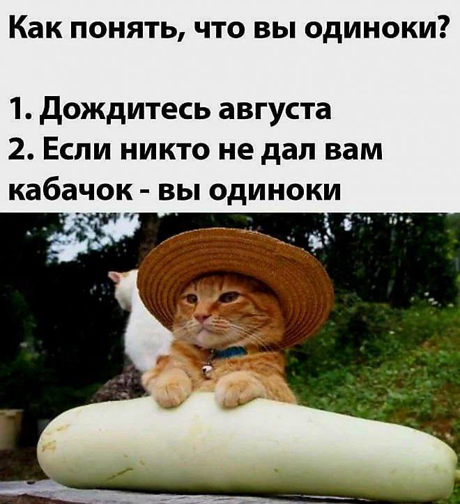 #мемчики 🥲🤪😂😂😂 | Сетка — социальная сеть от hh.ru