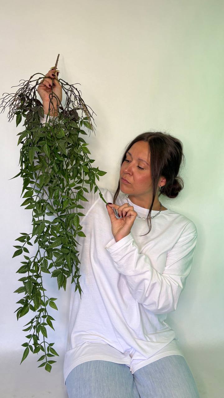 🌿Искусственные растения, которые невозможно отличить от настоящих!
❓Хотите создать уют без хлопот с поливом и уходом? ⚡️Компания Fitostor предлагает высококачественные искусственные растения и цветы с... | Сетка — социальная сеть от hh.ru