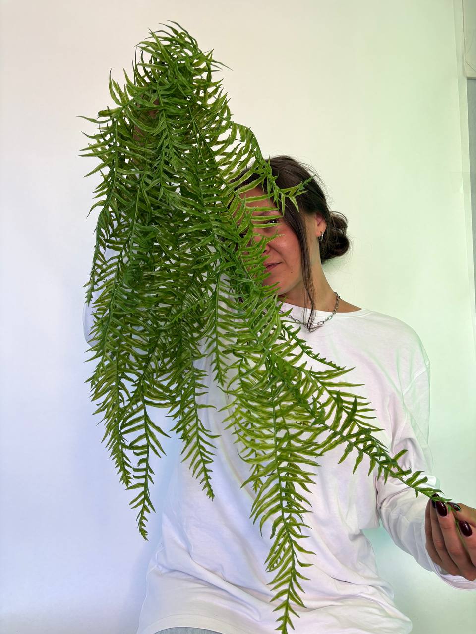 🌿Искусственные растения, которые невозможно отличить от настоящих!
❓Хотите создать уют без хлопот с поливом и уходом? ⚡️Компания Fitostor предлагает высококачественные искусственные растения и цветы с... | Сетка — социальная сеть от hh.ru