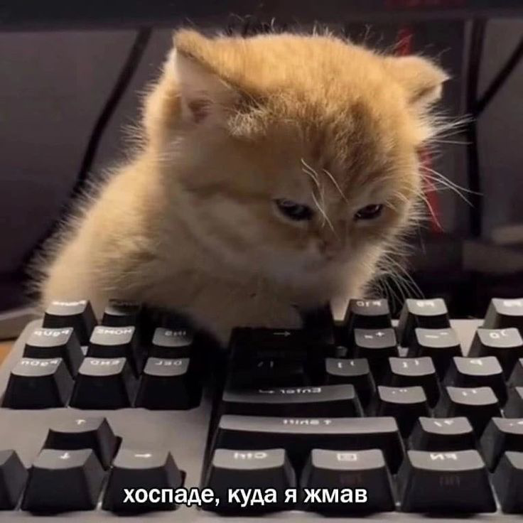 Резюме на hh и тест, нужно ли? | Сетка — социальная сеть от hh.ru