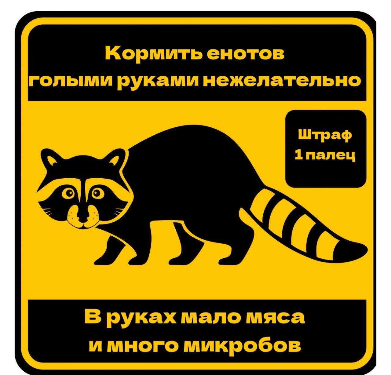 🦝 Еноты укусили людей во время кормежки в Железноводске
Горожанам напомнили, что это дикие животные и они не привиты | Сетка — социальная сеть от hh.ru