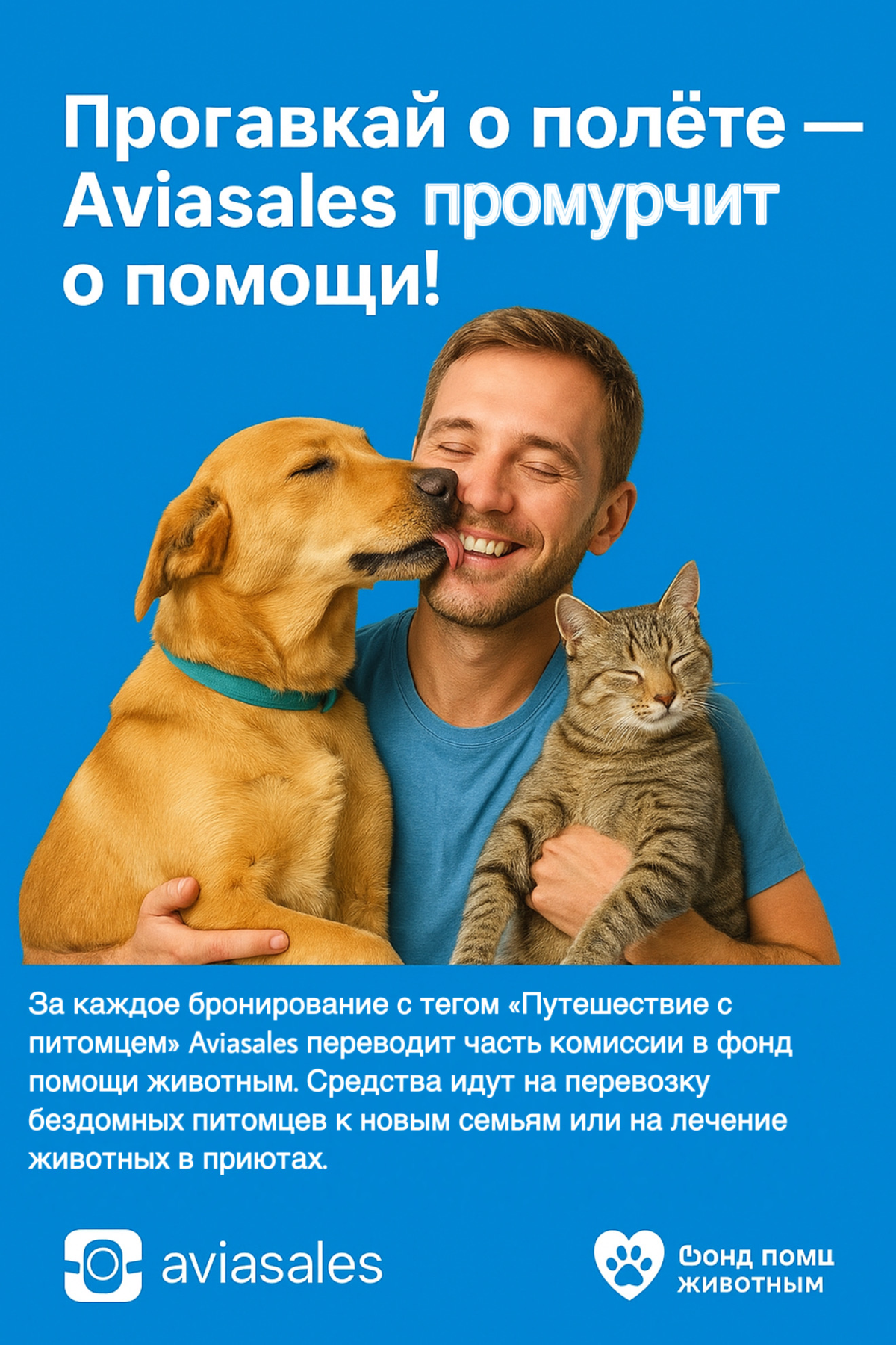 💡 Что бы я предложил Aviasales, если бы они захотели участвовать в благотворительности и посотрудничать с фондом помощи животным?
Представьте: миллионы людей каждый год путешествуют с питомцами или ме... | Сетка — социальная сеть от hh.ru