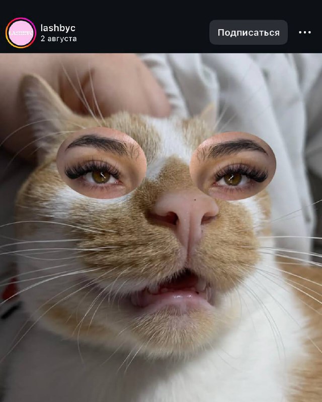 Лайфхак года или котики в маркетинге 😜
Любому массбизнесу (особенно в бьюти сфере), очень сложно выделиться, среди толп конкурентов | Сетка — социальная сеть от hh.ru