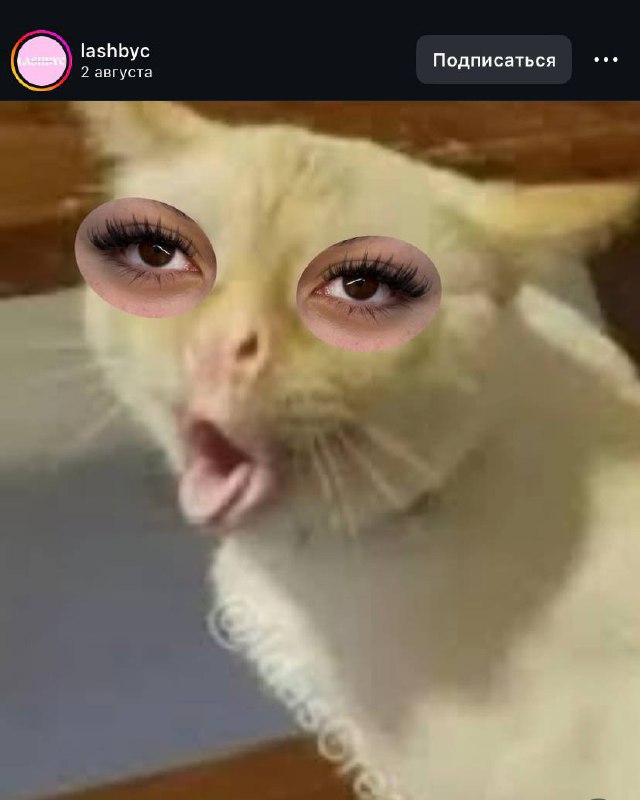 Лайфхак года или котики в маркетинге 😜
Любому массбизнесу (особенно в бьюти сфере), очень сложно выделиться, среди толп конкурентов | Сетка — социальная сеть от hh.ru