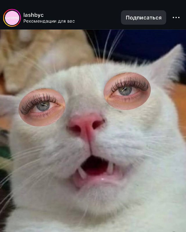 Лайфхак года или котики в маркетинге 😜
Любому массбизнесу (особенно в бьюти сфере), очень сложно выделиться, среди толп конкурентов | Сетка — социальная сеть от hh.ru