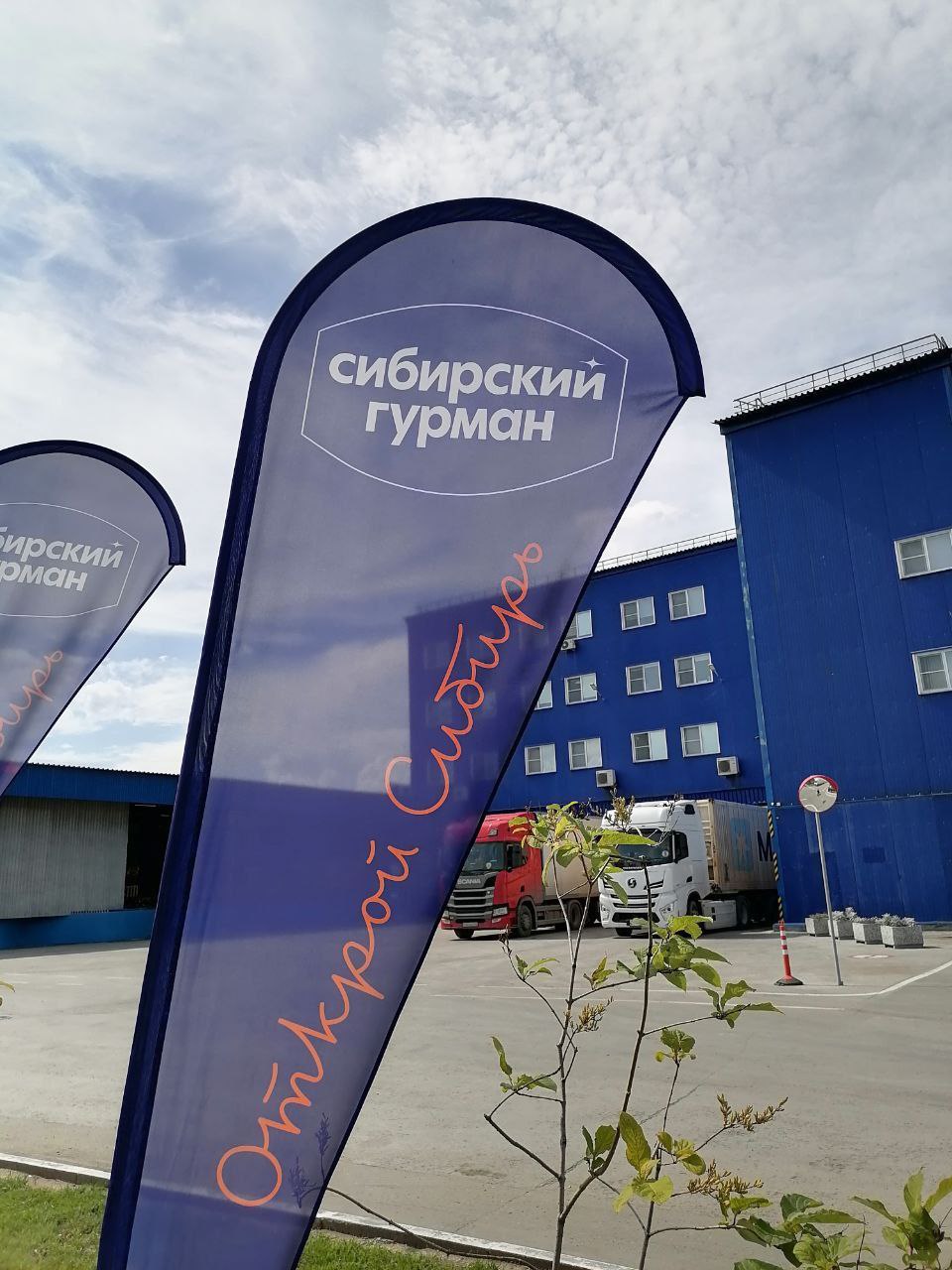 Ловите немного летнего настроения с нашей территории 🌻
Цветы на фоне заводских будней — как напоминание, что красота есть везде. А вы знали, что у нас так зелено и живописно? 😉 | Сетка — социальная сеть от hh.ru