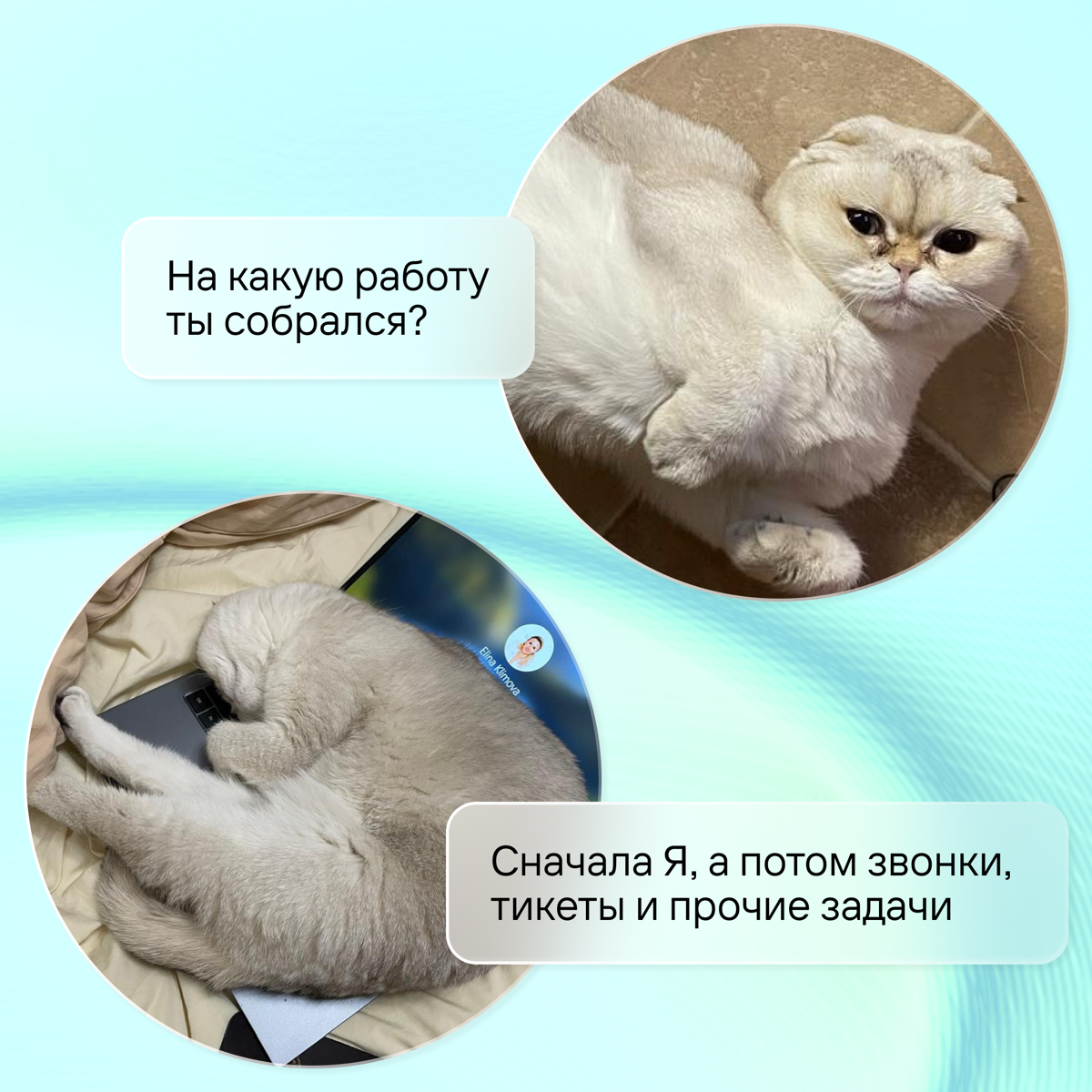 За каждым сильным профессионалом — тот, кто всегда рядом | Сетка — социальная сеть от hh.ru