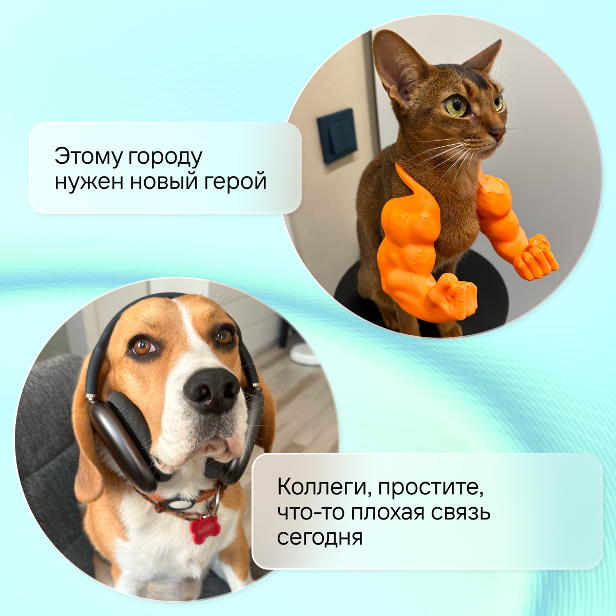 За каждым сильным профессионалом — тот, кто всегда рядом | Сетка — социальная сеть от hh.ru