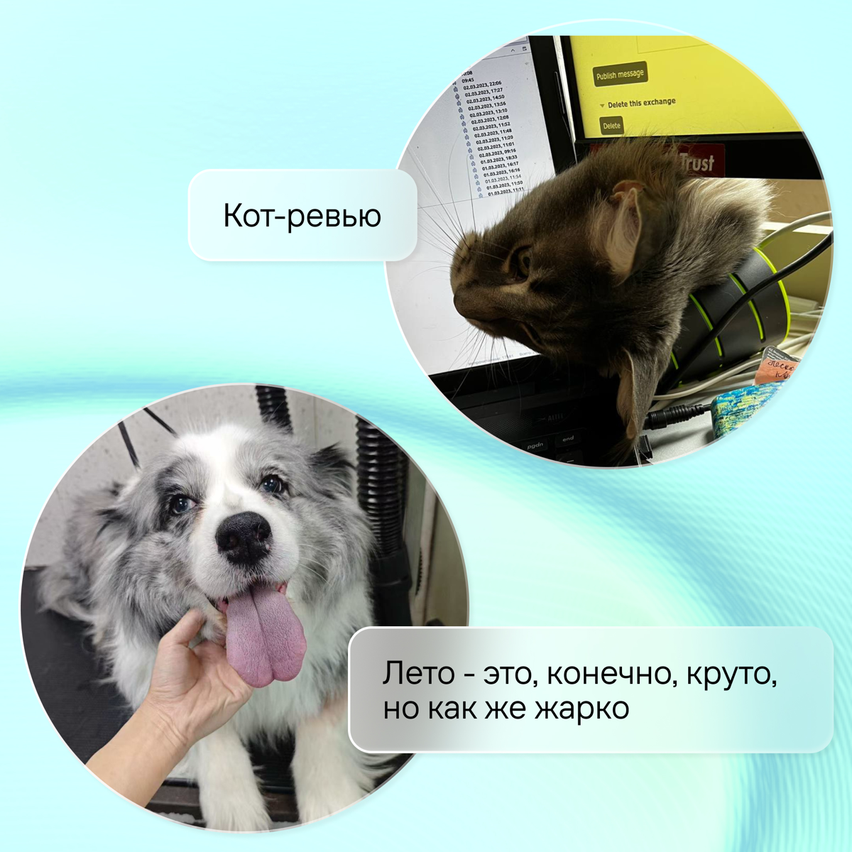 За каждым сильным профессионалом — тот, кто всегда рядом | Сетка — социальная сеть от hh.ru
