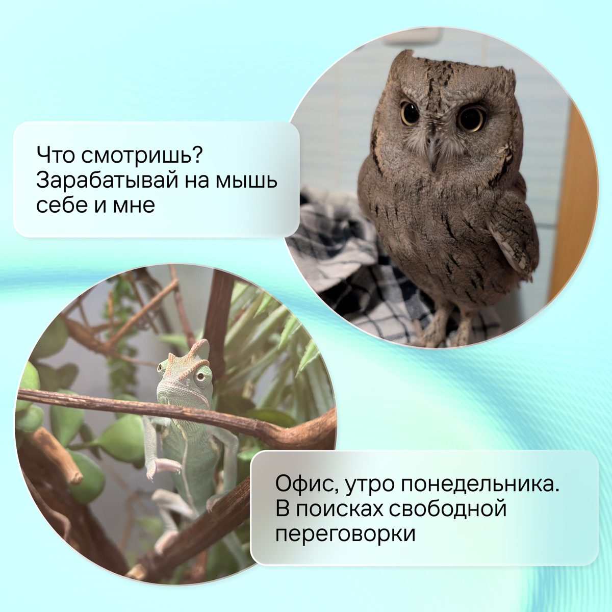 За каждым сильным профессионалом — тот, кто всегда рядом | Сетка — социальная сеть от hh.ru