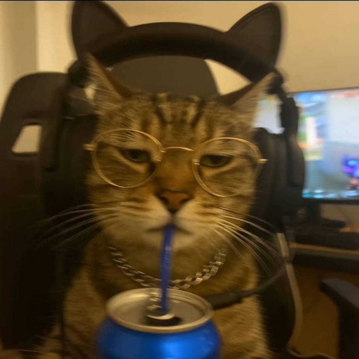 Анастасия Белик