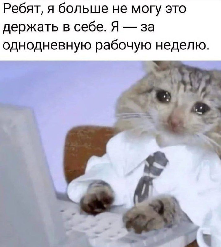 А вы в среду, которая маленькая пятница, за или против этого предложения?
Кто поддерживает котика, с вас 🤍
Взято тут
В этом посте были ссылки, но мы их удалили по правилам Сетки | Сетка — социальная сеть от hh.ru