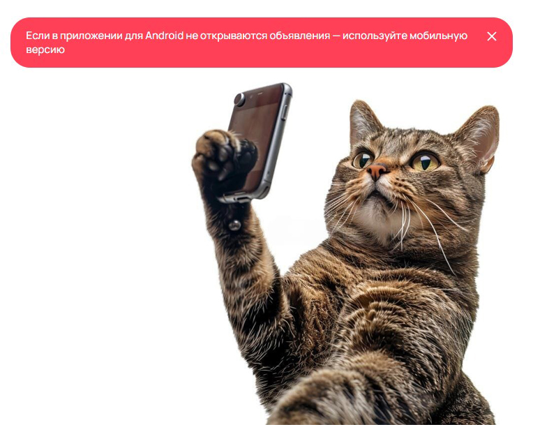 Авито: объявления не открываются на Android | Сетка — социальная сеть от hh.ru