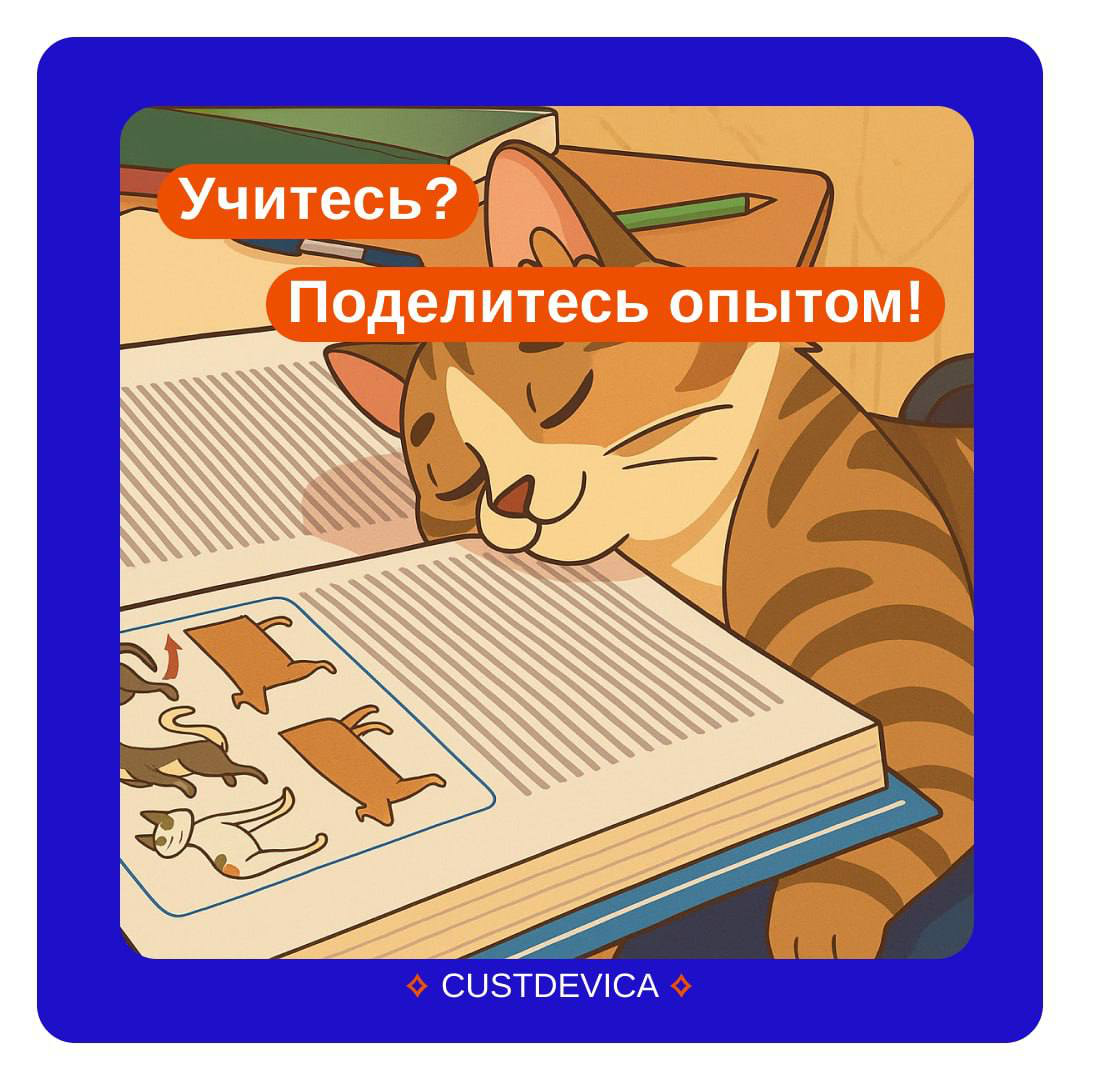 🥺 Ищем тех, кто учится — нужно ваше мнение! | Сетка — социальная сеть от hh.ru