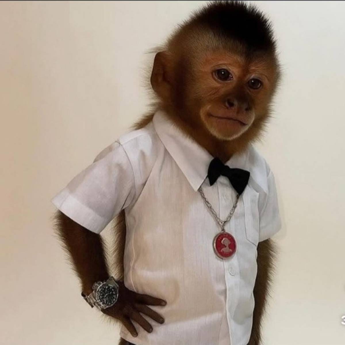 Евгений Ружников | Сетка — социальная сеть от hh.ru