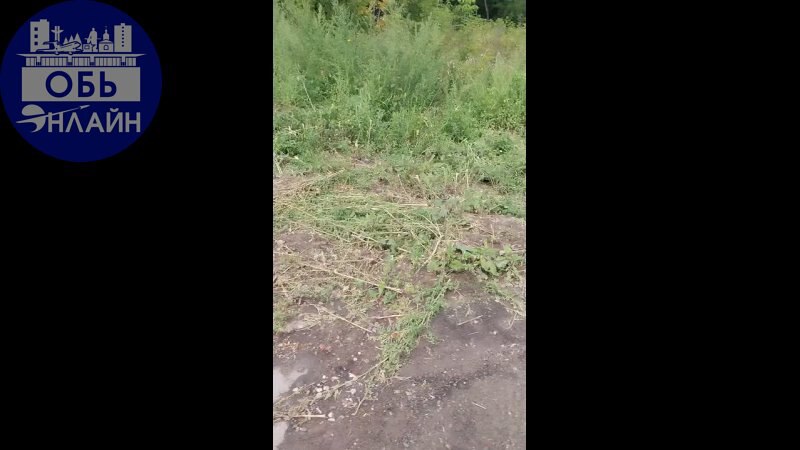 ↗ Администрация города Обь !
Вопросы к вам.
Всё лето вели раскопки на этом участке по улице Арсенальной в сторону АРЗ. Разломали пешеходный тротуар от дома 125 военного городка в сторону дома 122 | Сетка — социальная сеть от hh.ru