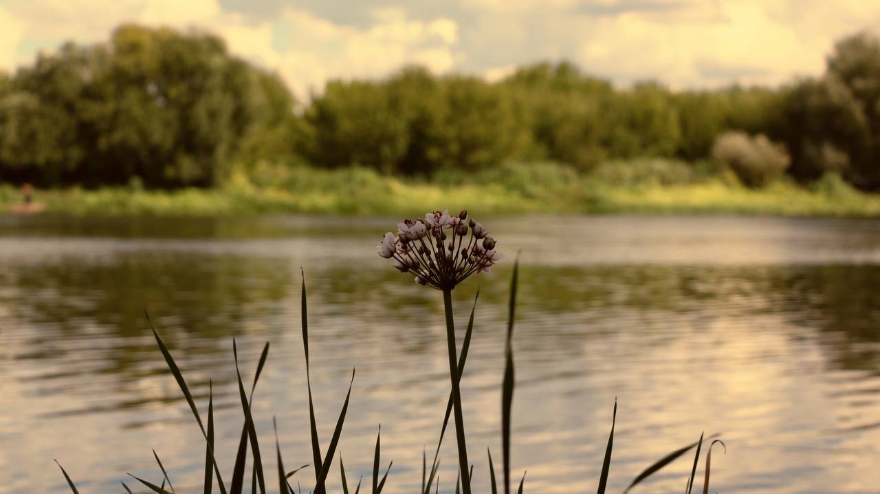 Дикая Река Дон — это место, которое невозможно не полюбить. И пока стоит тёплая погода, нужно ловить момент.
В планах на поездку — купить опарыша, прикормку и недостающие компоненты | Сетка — социальная сеть от hh.ru
