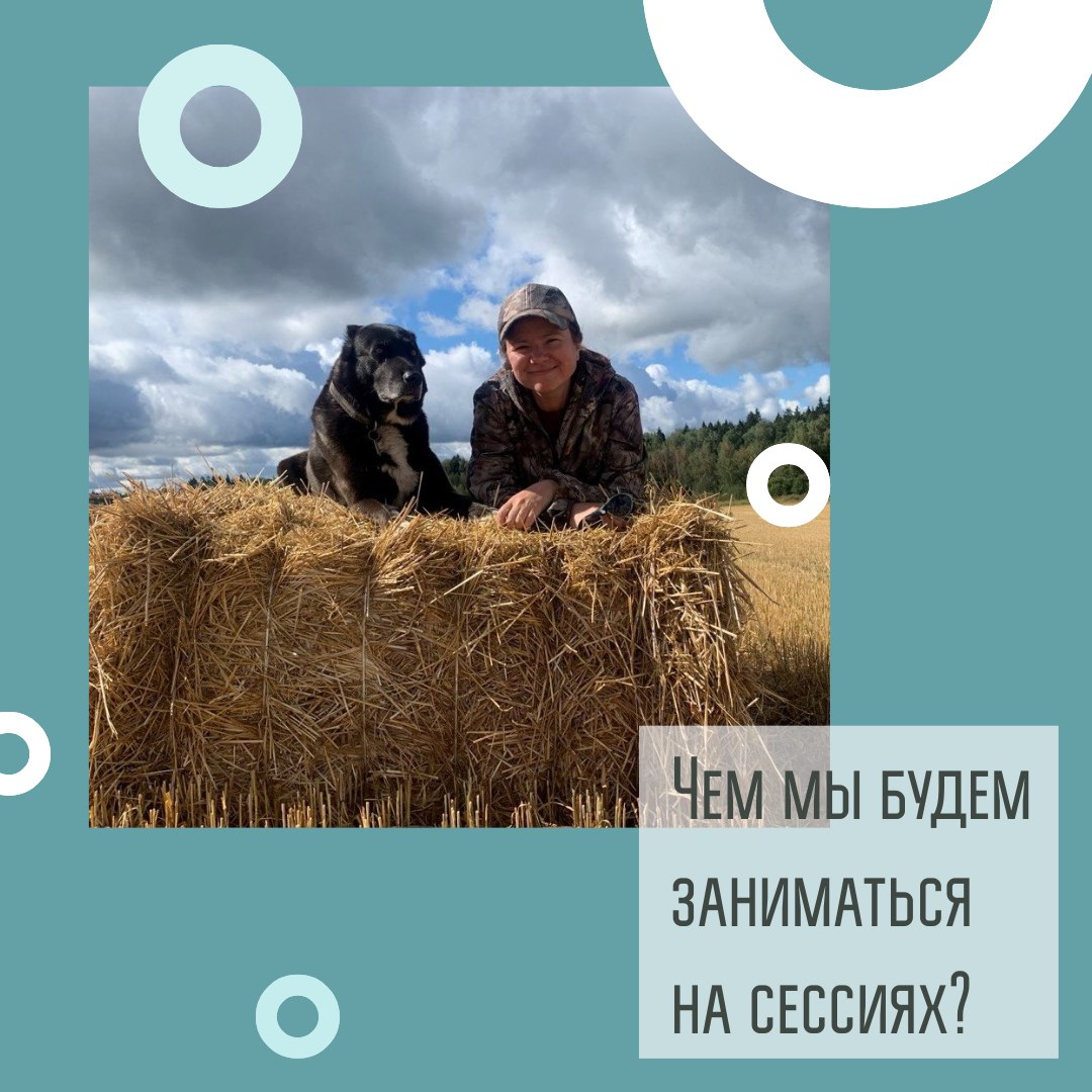 Немного расскажу о том как выглядит терапия изнутри, и что мы обычно делаем на сессиях | Сетка — социальная сеть от hh.ru