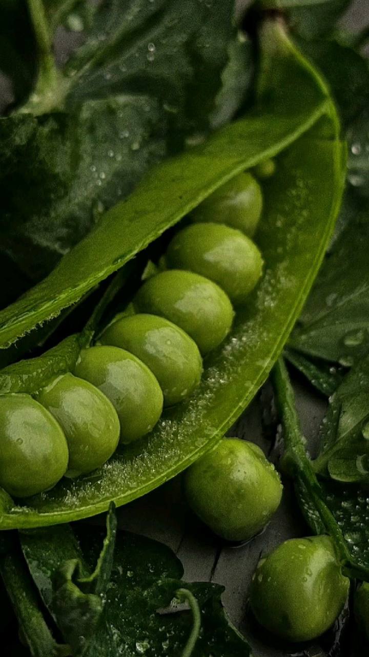 Ожидается дождь из зеленого горошка - офферов
Похоже, текущее лето не проявило своих сильных качеств - высокой жаркой температуры, пленяющего солнца, длинных, бессонных ночей и даже крем SPF от загара... | Сетка — социальная сеть от hh.ru