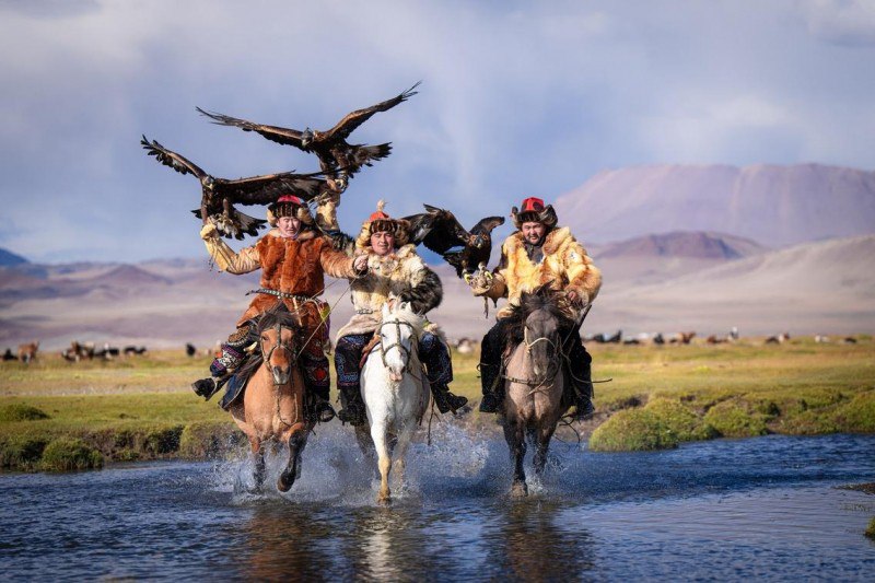 Changing Adventures For 2026
https://procreator.top/2025/08/14/5-new-life-changing-adventures-for-2026/ | Сетка — социальная сеть от hh.ru