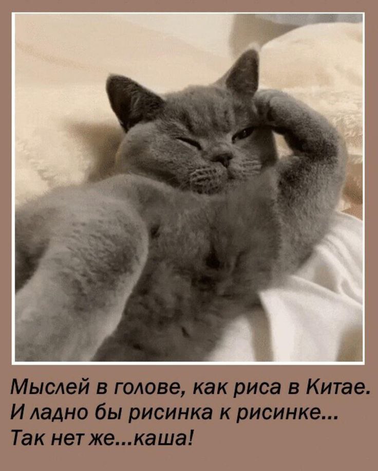 А я ошибочно предполагала, что у меня сегодня вполне расслабленный день.
Ага
Два раза 🤣
#юмор@vsetyev | Сетка — социальная сеть от hh.ru