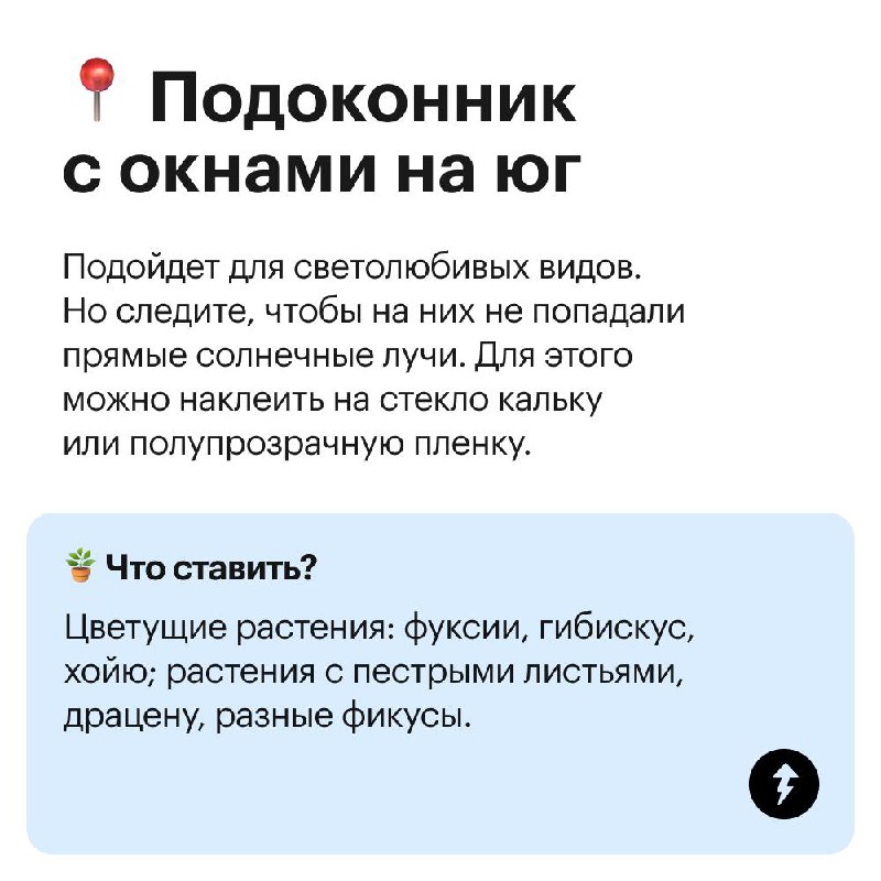 Куда поставить комнатные цветы?
Не каждому растению будет комфортно на подоконнике: листья могут пожелтеть, свернуться или завять | Сетка — социальная сеть от hh.ru