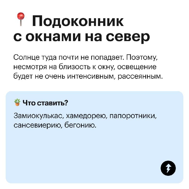 Куда поставить комнатные цветы?
Не каждому растению будет комфортно на подоконнике: листья могут пожелтеть, свернуться или завять | Сетка — социальная сеть от hh.ru