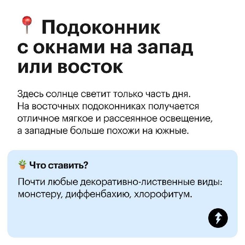 Куда поставить комнатные цветы?
Не каждому растению будет комфортно на подоконнике: листья могут пожелтеть, свернуться или завять | Сетка — социальная сеть от hh.ru