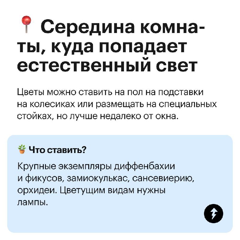 Куда поставить комнатные цветы?
Не каждому растению будет комфортно на подоконнике: листья могут пожелтеть, свернуться или завять | Сетка — социальная сеть от hh.ru