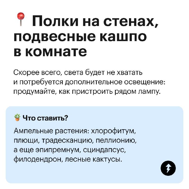 Куда поставить комнатные цветы?
Не каждому растению будет комфортно на подоконнике: листья могут пожелтеть, свернуться или завять | Сетка — социальная сеть от hh.ru