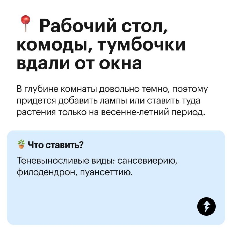 Куда поставить комнатные цветы?
Не каждому растению будет комфортно на подоконнике: листья могут пожелтеть, свернуться или завять | Сетка — социальная сеть от hh.ru