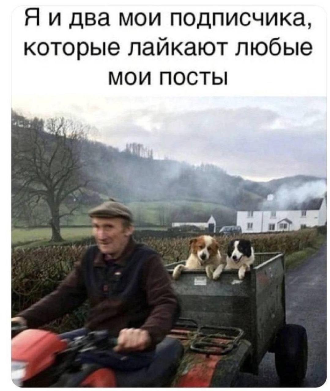 Ну шо, ребятишки, принесли тут пиздатый канал. Марина давненько уже фигачит в телеграмм-пространстве и конкретно научилась с ним работать | Сетка — социальная сеть от hh.ru