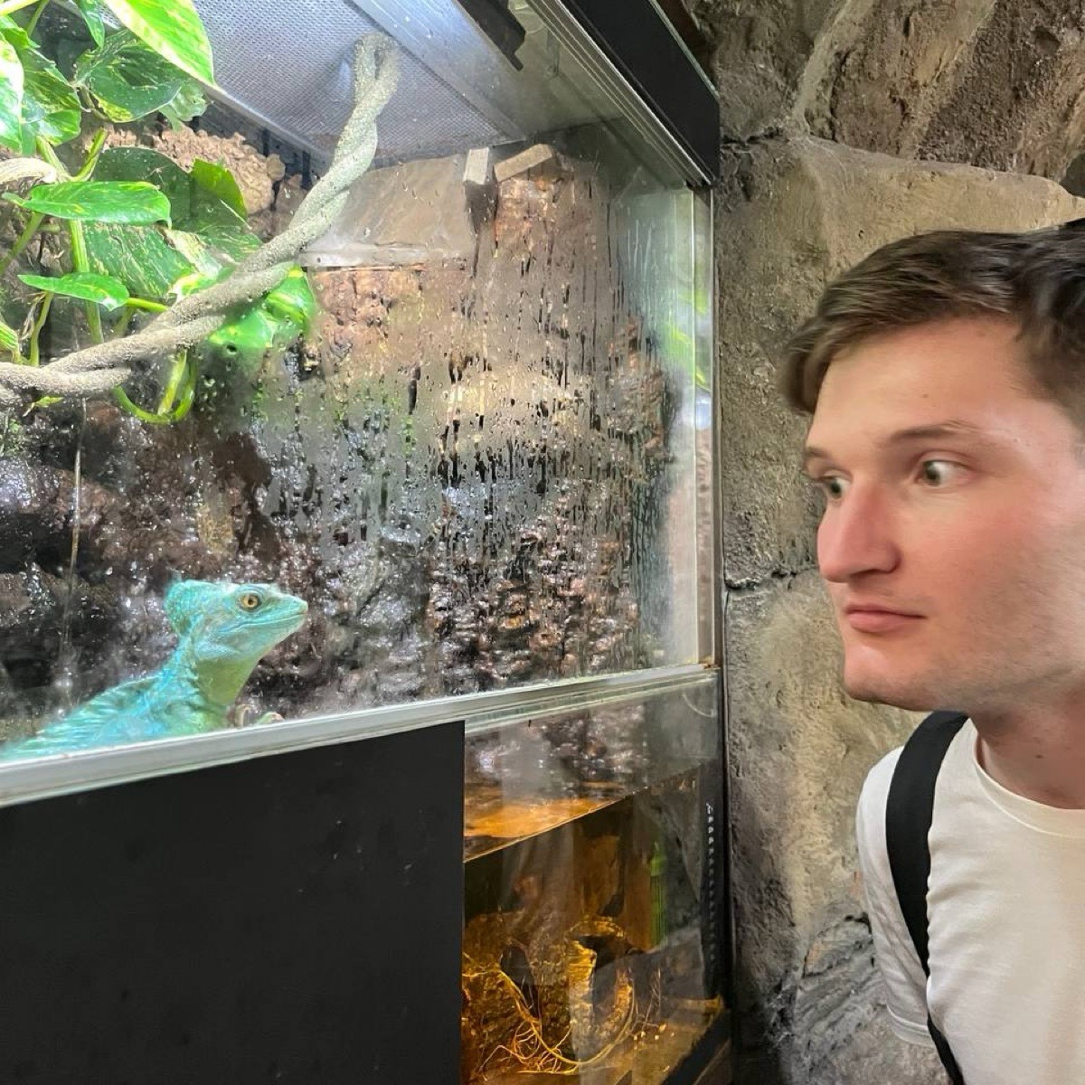 Виталий Кузнецов | Сетка — социальная сеть от hh.ru