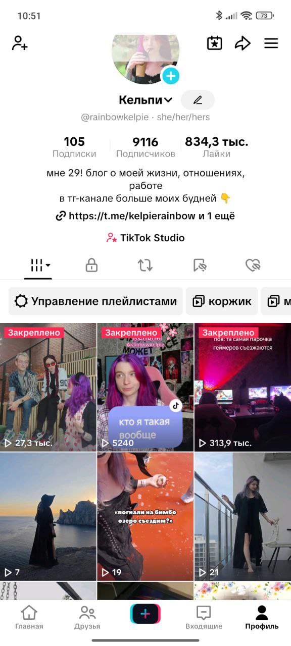 Ну всё, я официально ливаю из тиктока, даже козырь в виде сабаки и Егора не сработал | Сетка — социальная сеть от hh.ru