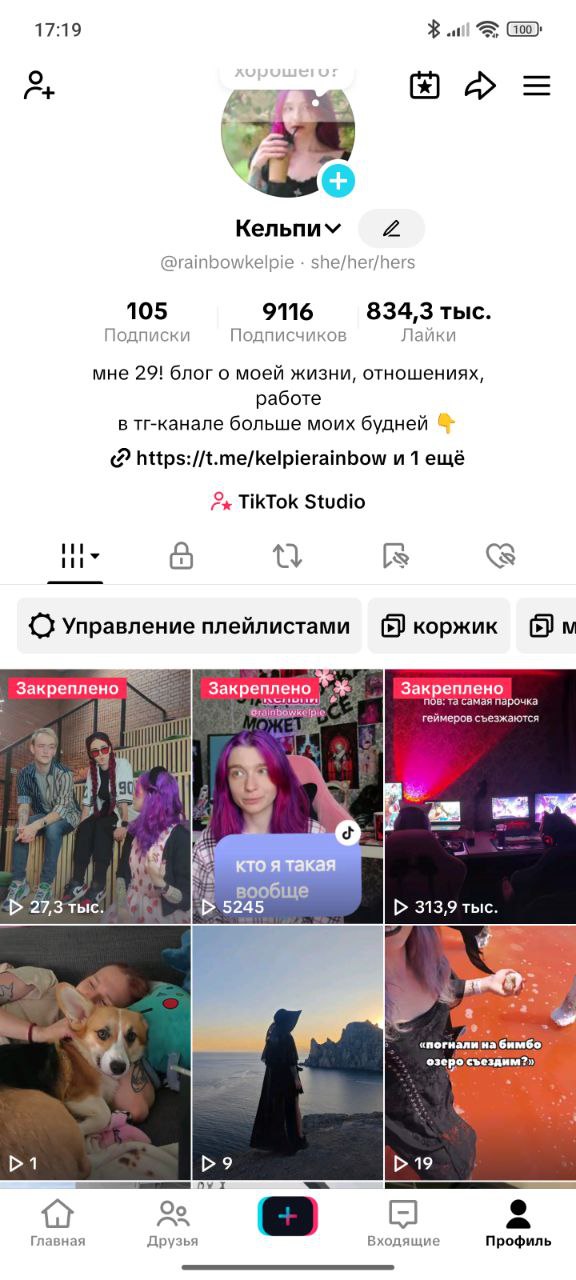 Ну всё, я официально ливаю из тиктока, даже козырь в виде сабаки и Егора не сработал | Сетка — социальная сеть от hh.ru