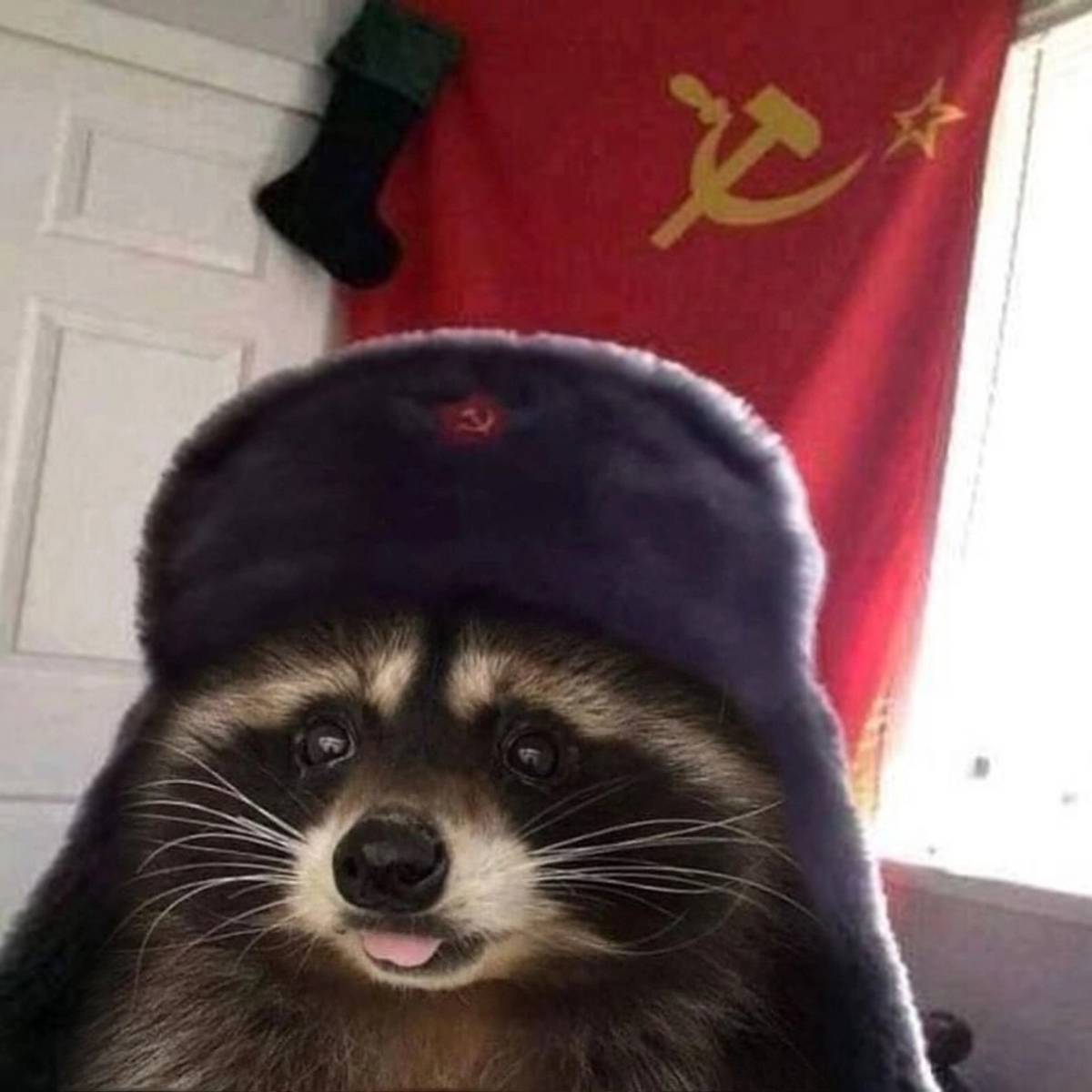 Игорь Катамаранов