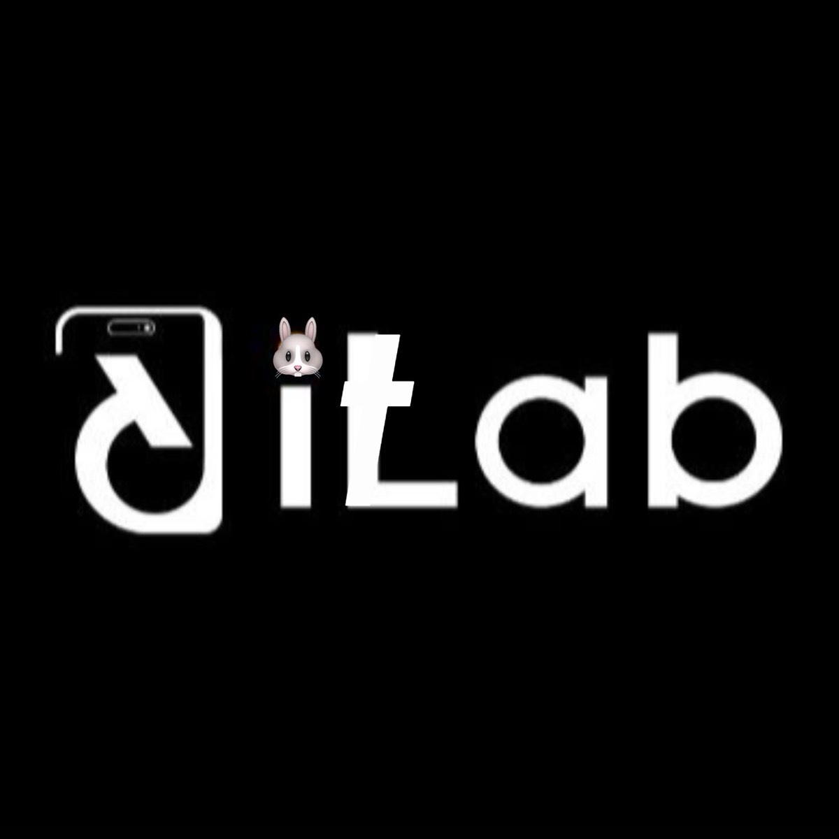 GittLab