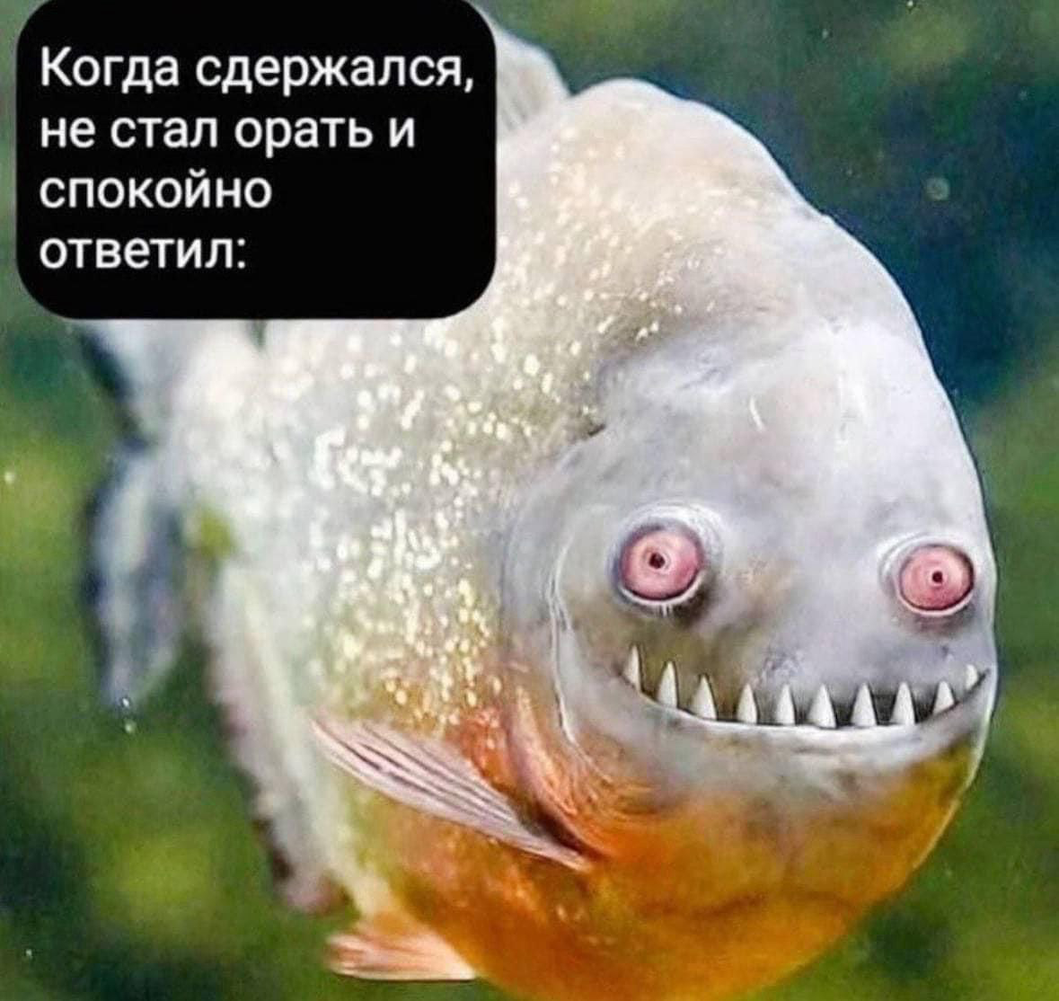 Пятничное | Сетка — социальная сеть от hh.ru