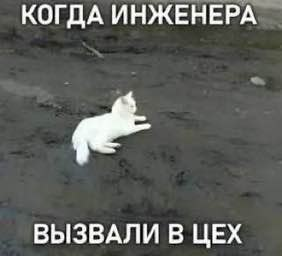 Ищу инженеров | Сетка — социальная сеть от hh.ru