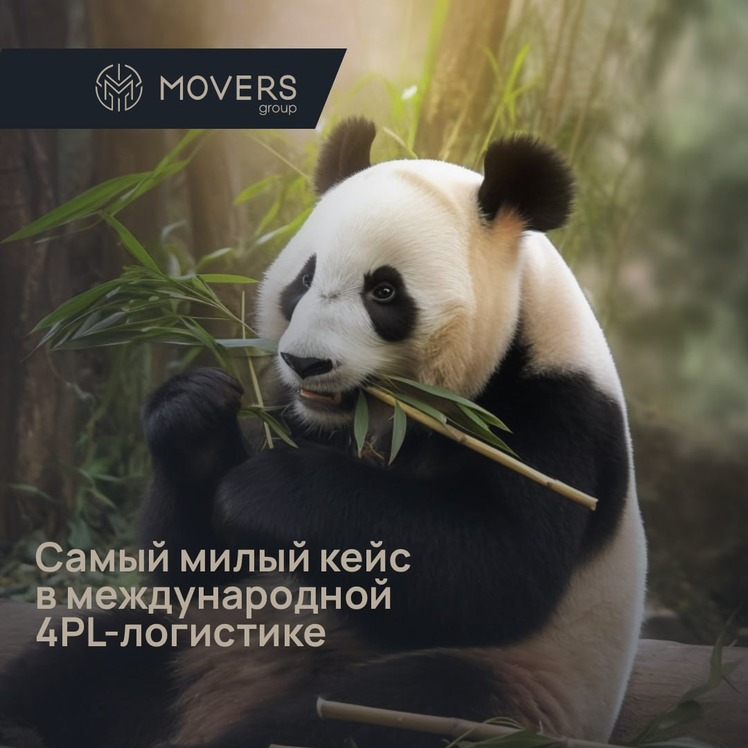 🐼 Самый милый кейс в международной 4PL-логистике:
Как DSV и WWF спасали панд свежим бамбуком
Задача: доставить бамбук для панд из Китая в зоопарки Европы, чтобы он оставался свежим
Решение DSV (4PL):
... | Сетка — социальная сеть от hh.ru