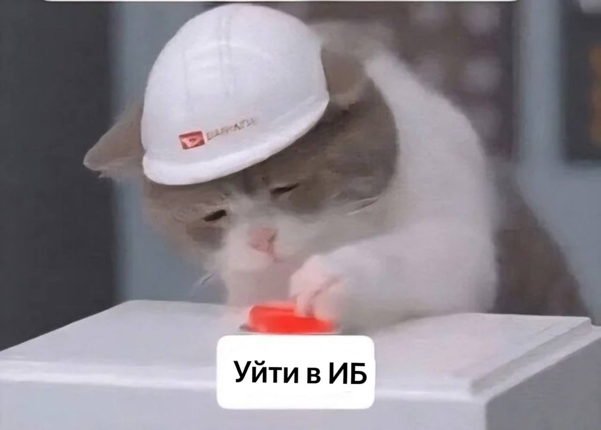 Жизнь: Hard режим | Сетка — социальная сеть от hh.ru