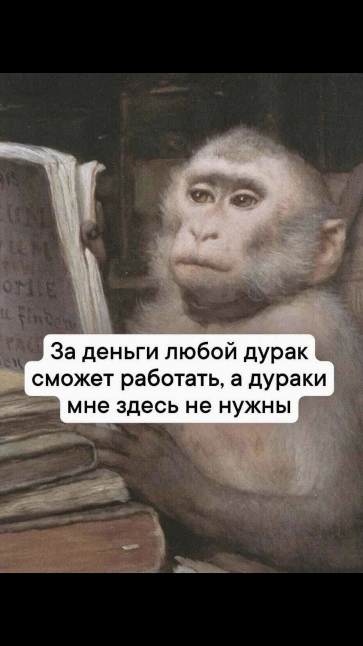 Любой уважающий себя владелец бизнеса, когда услышал что сделать сайт, настроить SEO, и запустить рекламу стоит не 3000 рублей | Сетка — социальная сеть от hh.ru