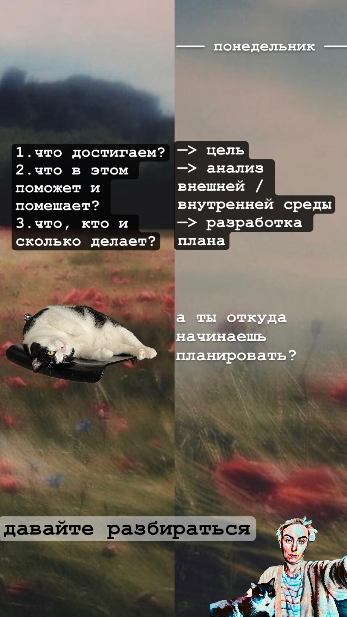 Мысли дня | Сетка — социальная сеть от hh.ru